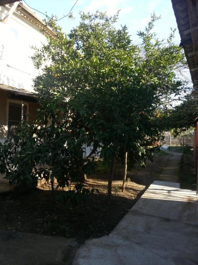 Guest House Yuzhnaya Palmira Pizunda Exterior foto